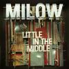 cover Milow - Little in the Middle